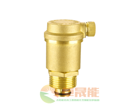 工程大体全铜排气阀