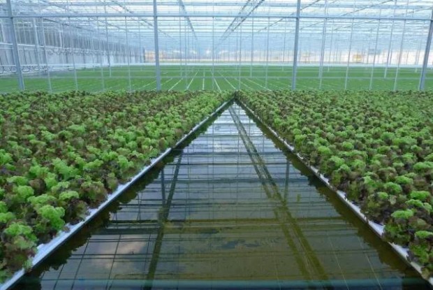 农业热水解决方案